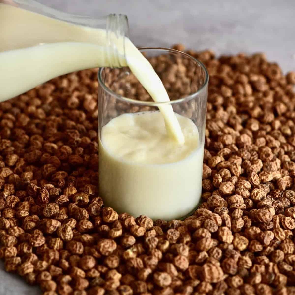 homemade tiger nut milk horchata de chufa - Article 1